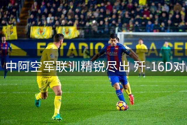 中阿空军联训精锐尽出 歼-16D对战幻影2000