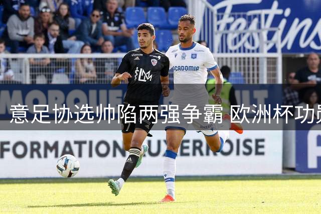 意足协选帅陷两强争霸 欧洲杯功勋教头对决英超名帅