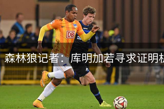 森林狼记者：库明加若寻求证明机会 明尼苏达堪称最佳选择