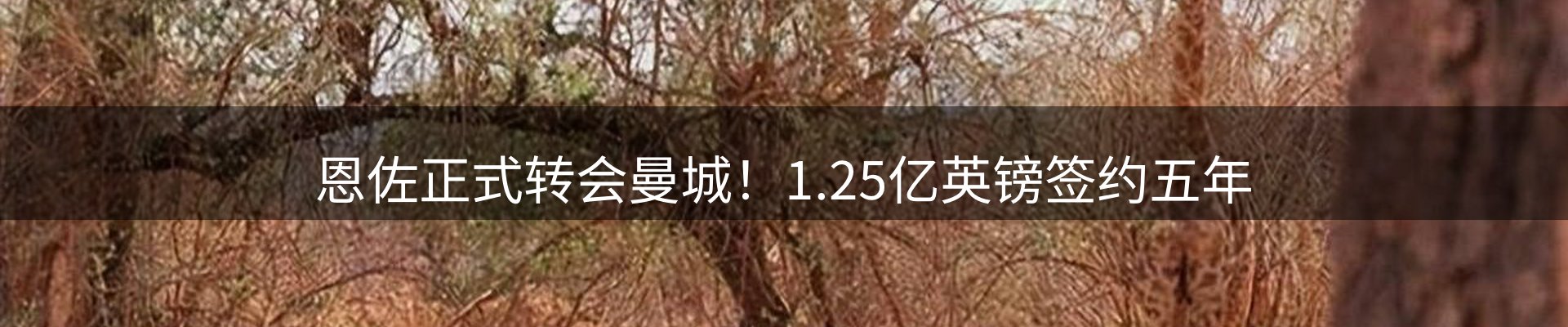 资讯荟萃