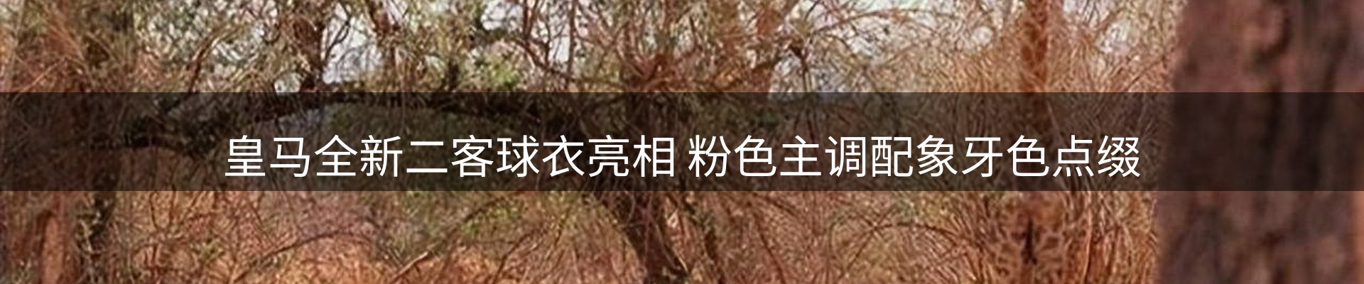资讯荟萃