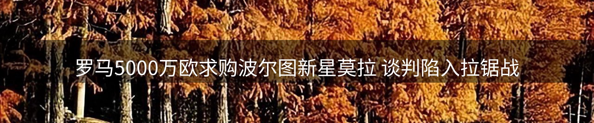 资讯荟萃